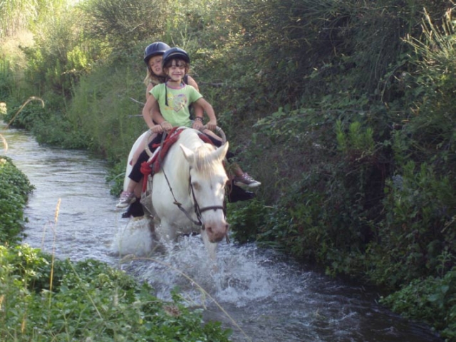  A cavallo vicino a Barbentane 